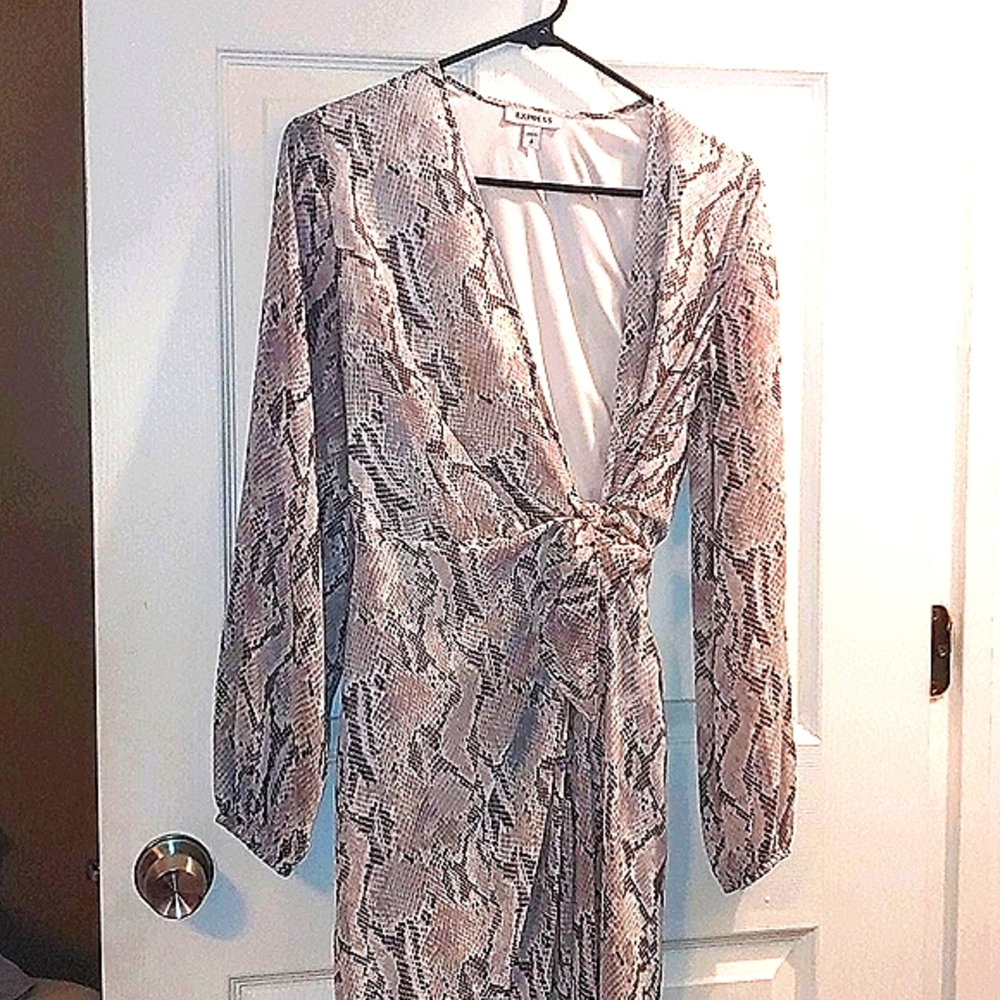 **LAST CHANCE** Express Snake Print Wrap Dress